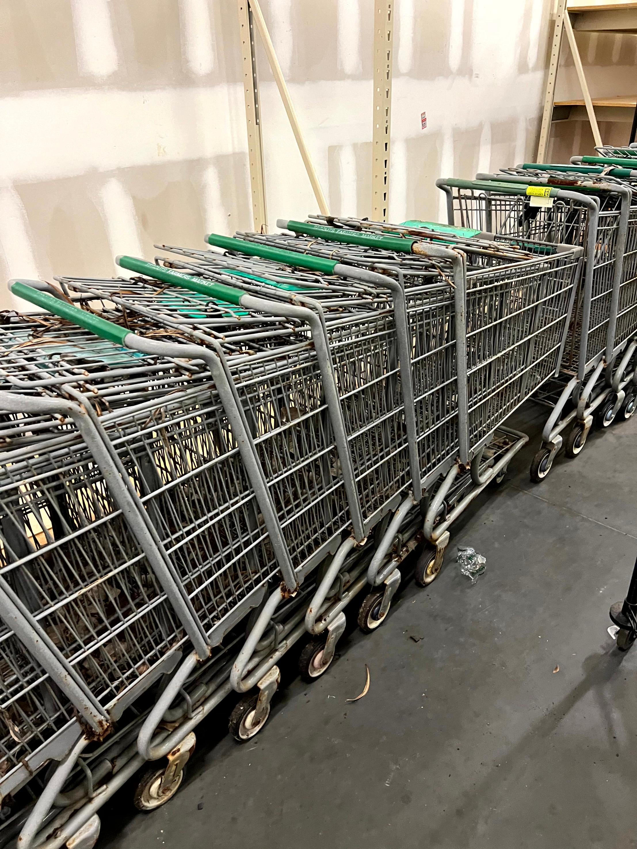 Standard Size Shopping Carts