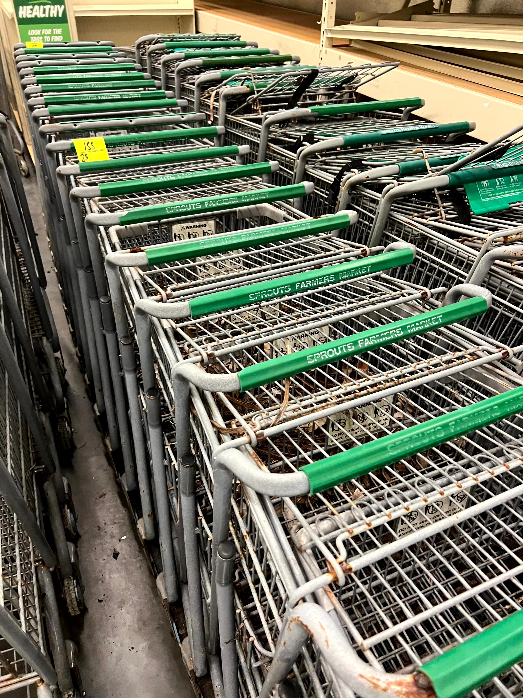 Standard Size Shopping Carts