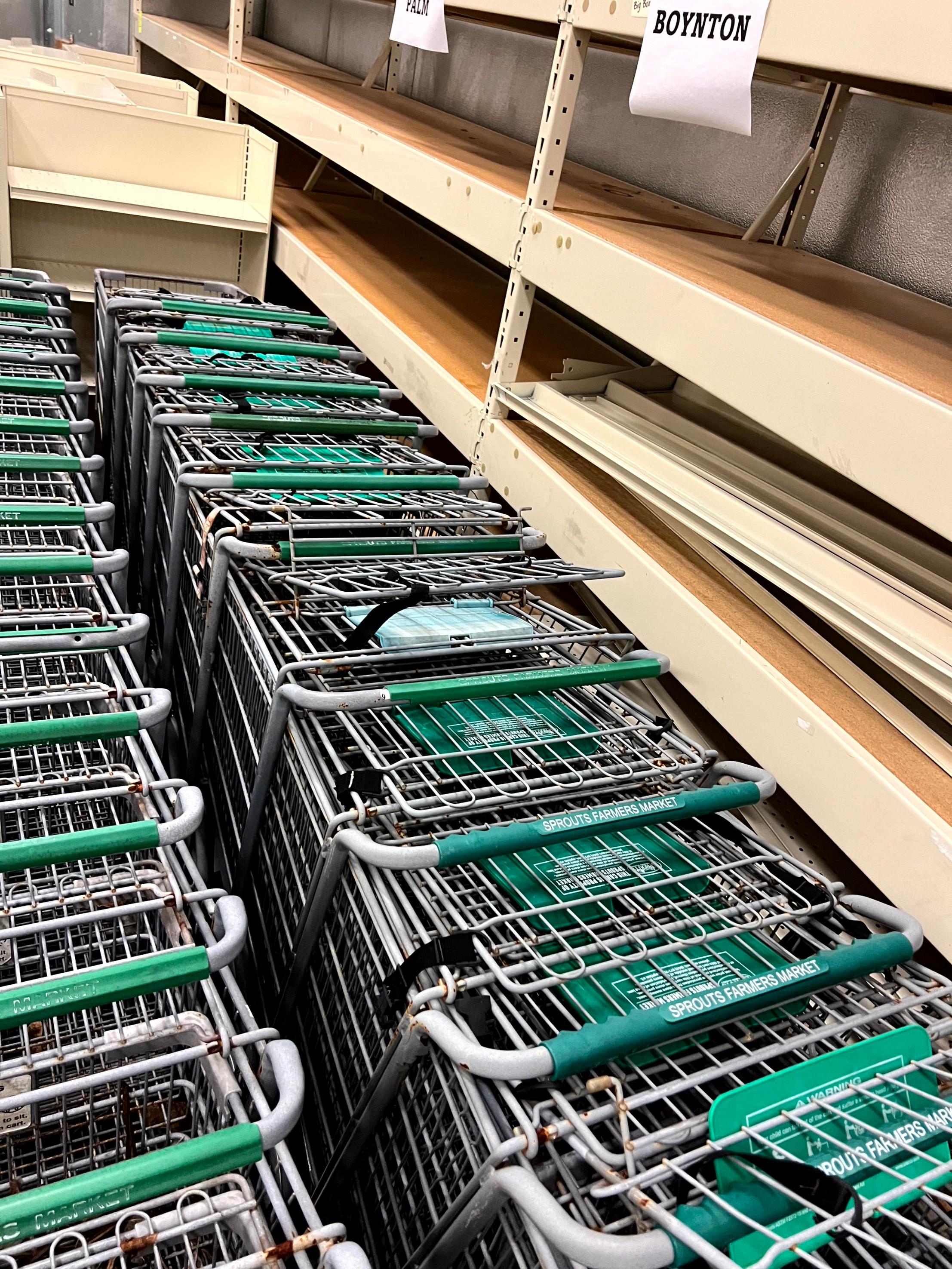 Standard Size Shopping Carts