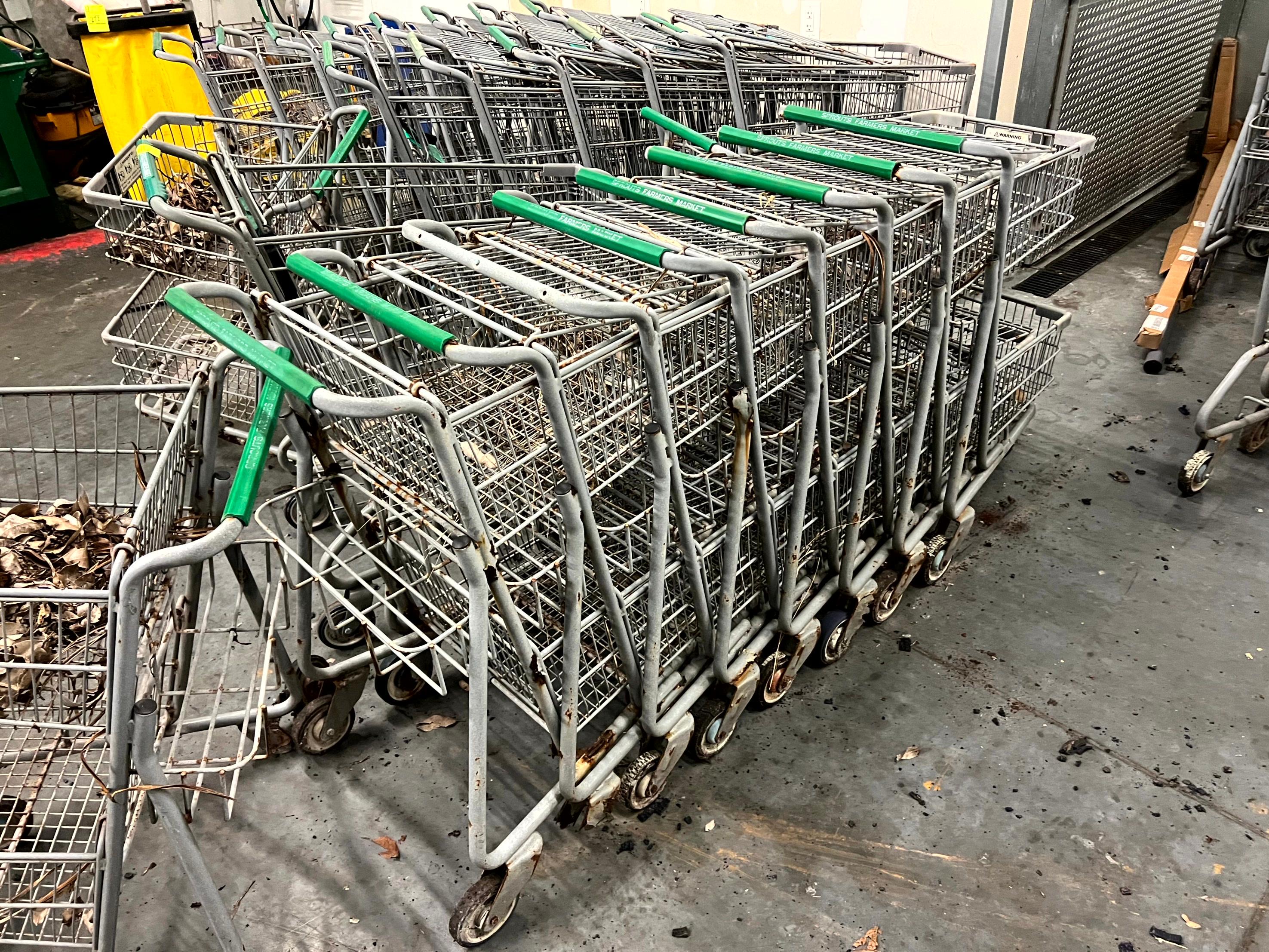Large Group of Assorted Shopping Carts