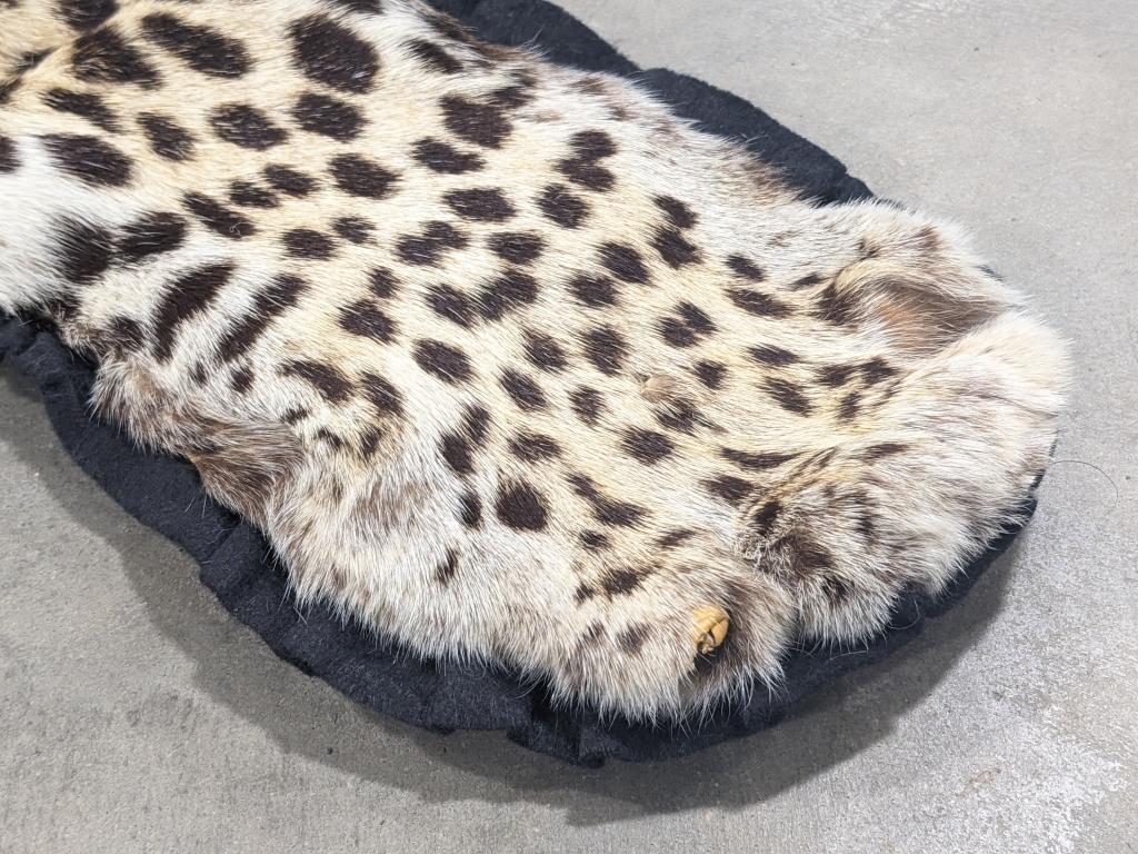 Large Full Body African Leopard Pelt Rug on Mat