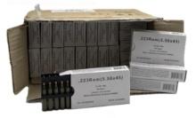 (25) GNB .223 Rem Ammunition 20 Rounds