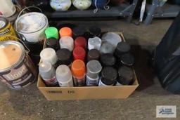 lot of paints and spray paint