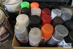 lot of paints and spray paint