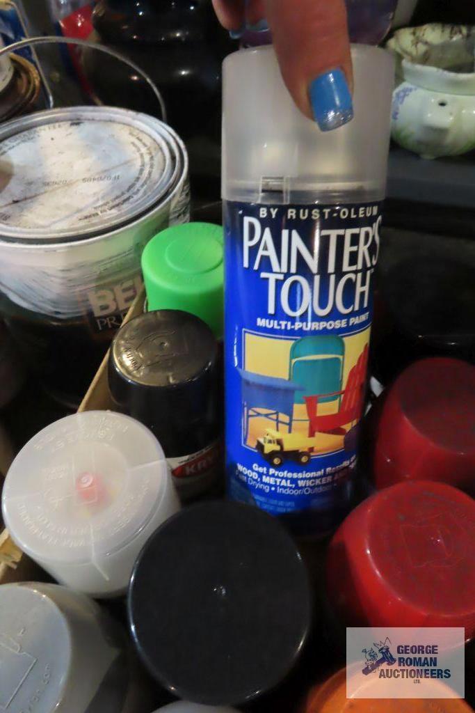 lot of paints and spray paint