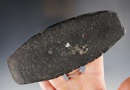 Thin 5 7/8" Cannel Coal Gorget - tallied on 2 edges. Greyson Co., Kentucky. Ex. Hinton, Hudson.