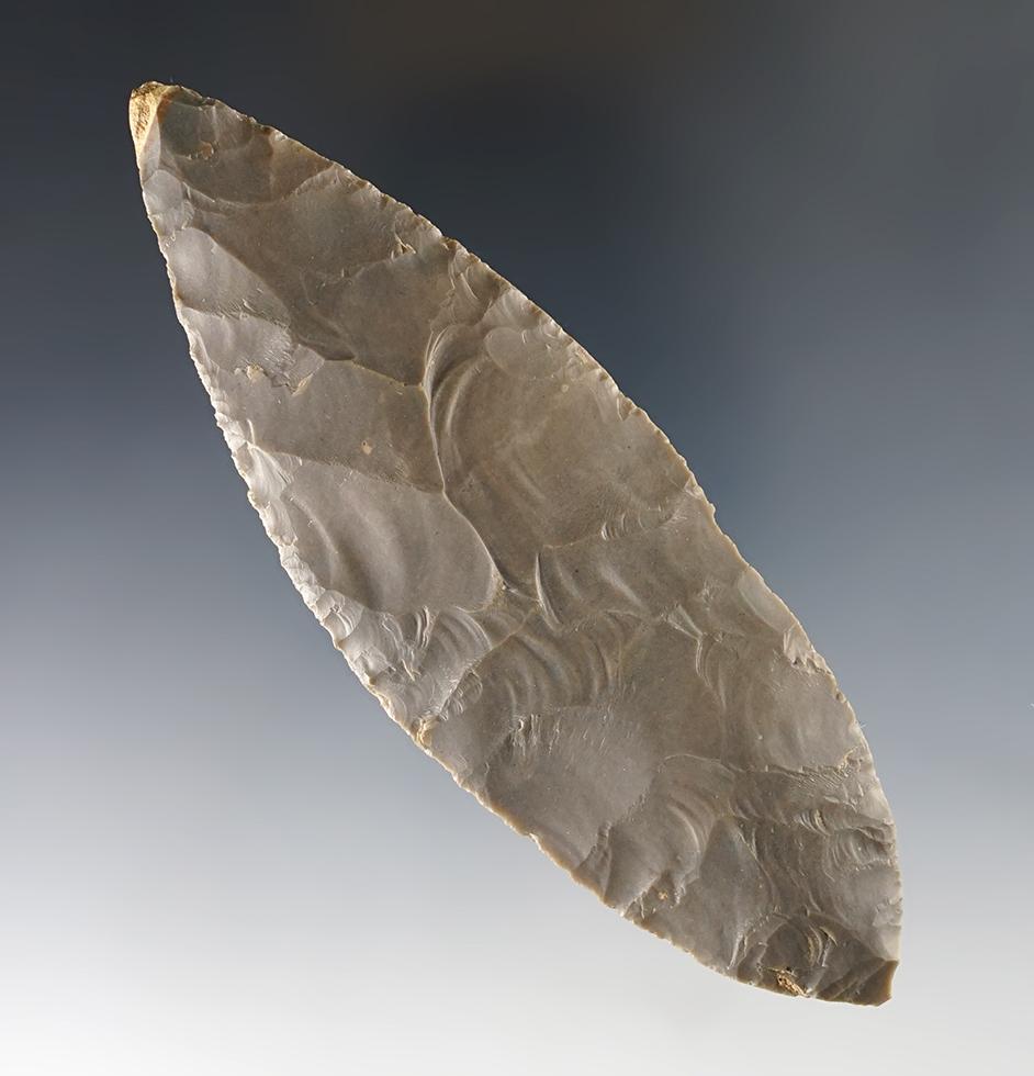 4 7/8" Turkeytail Blade - Hornstone,  Berrien Co., MI. Pictured! Ex. Stephens. Davis G-10 COA.