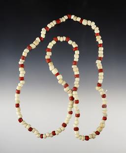 A 29" strand of Trade Beads recovered in California.