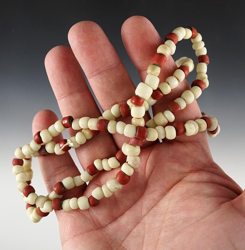 A 29" strand of Trade Beads recovered in California.