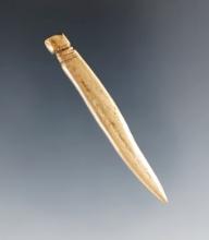 2 3/8" Highly Polished Bone Needle w/ suspension groove. Glovers Cave. Ex. Vietzen.