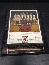1995-1996 Chicago Bulls Team Photograph Plaque
