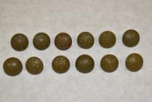 Twelve British Military Uniform Buttons