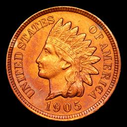 1905 Indian Cent 1c Grades Select Unc RB