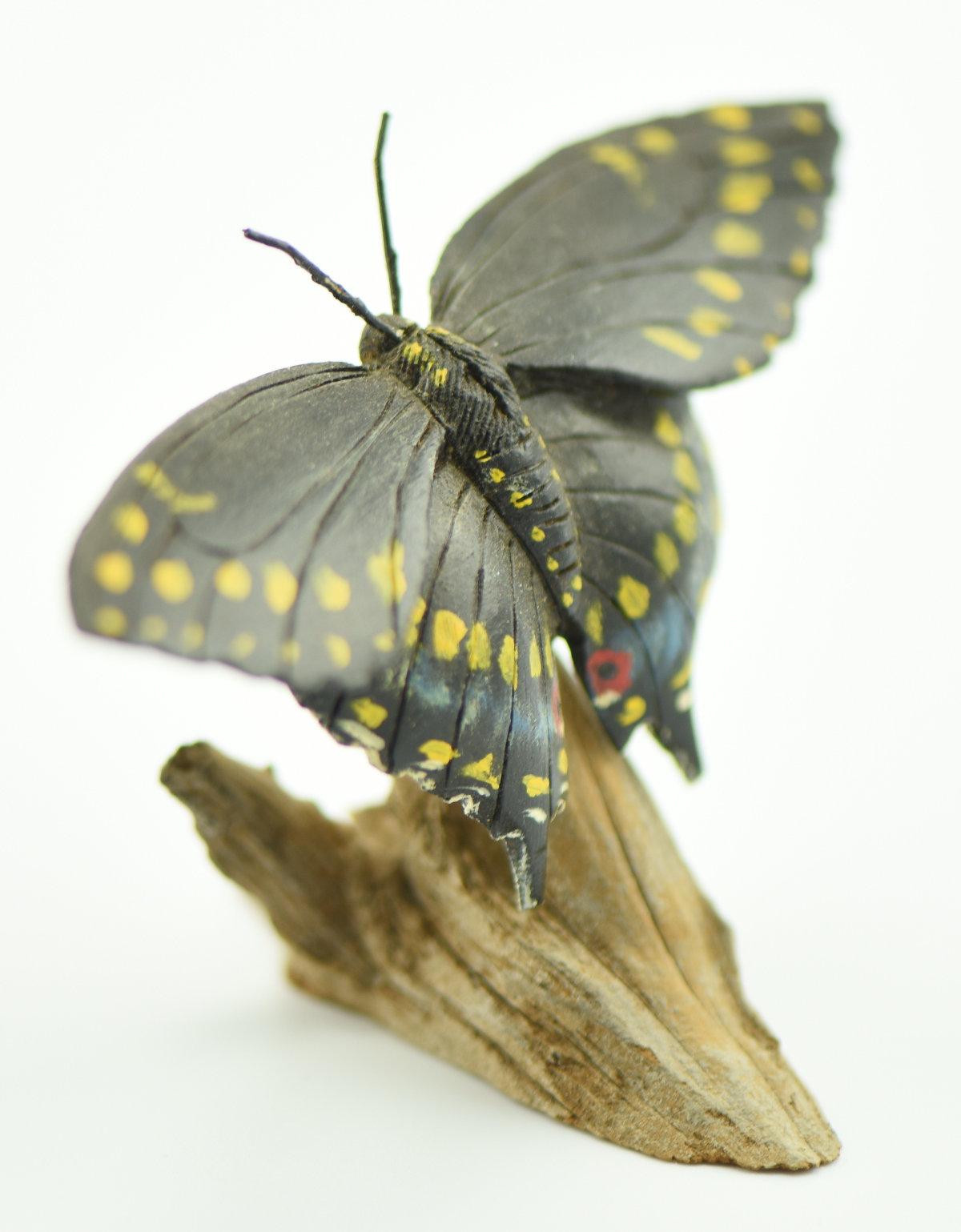 Lot #356 - Superb carved Short Tailed Swallow butterfly on driftwood signed on underside B.