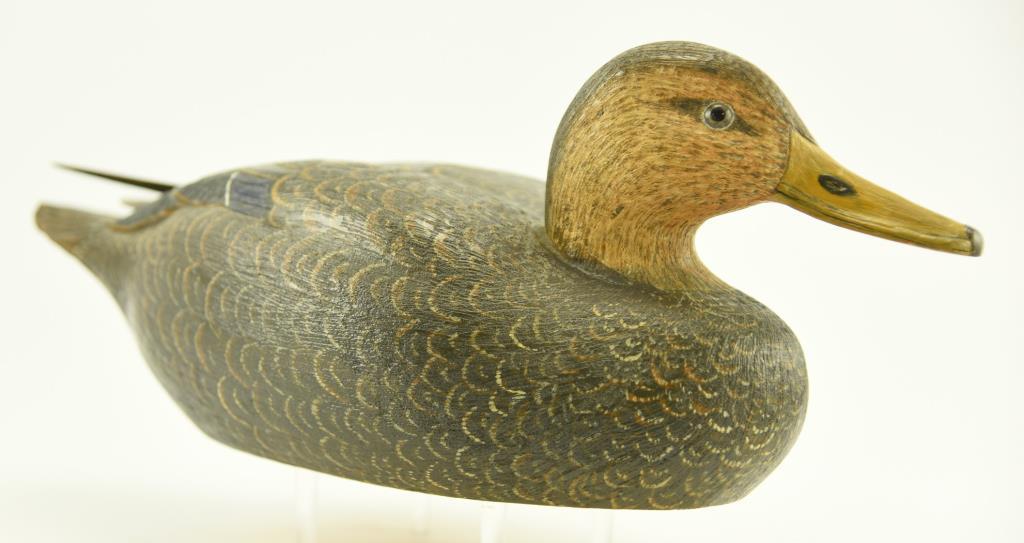 Lot #337 - Lewis Shelton 1981 Black Duck Decoy with raised wing feathers original paint signed