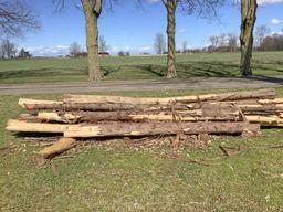 Approximately 15 Cedar Posts 8' Plus Various Diameters