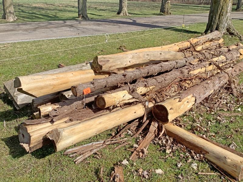 Approximately 15 Cedar Posts 8' Plus Various Diameters