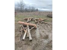 10 Cedar Fence Tees