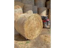 10 Bales 4x5 of Rotary Hard Red Wheat Straw