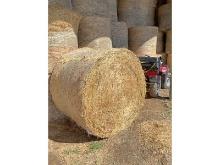 10 Bales 4x5 of Rotary Hard Red Wheat Straw