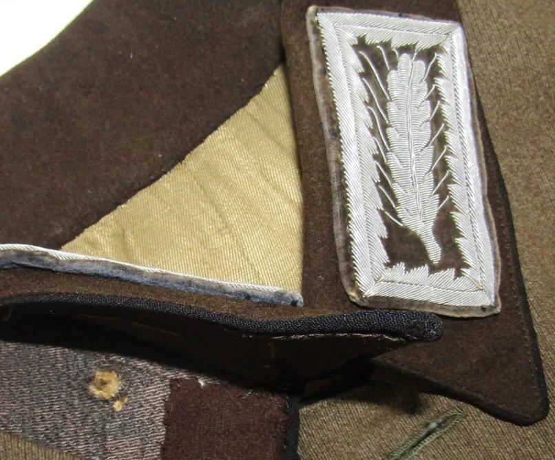 Rare! WW2 RAD OberstArbeitsFuhrer Tunic-Medical Sleeve Insignia-Bayern Hochland Gau Insignia