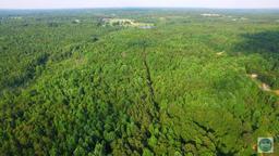 62.22 acres - North Major Road, Belton, SC