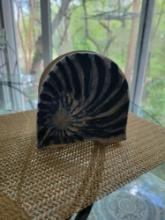 Napkin Holder $1 STS