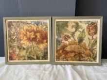 Two Framed Prints by Dayton Art Solutions Dayton, OH