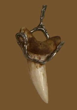 Sterling Shark Tooth Pendant, Sterling Turtle