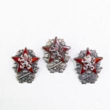 Czech Military Technical Academy Badge Lot