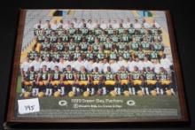 1999 Green Bay Packers Picture Plaque, Wood, 15" x 12"