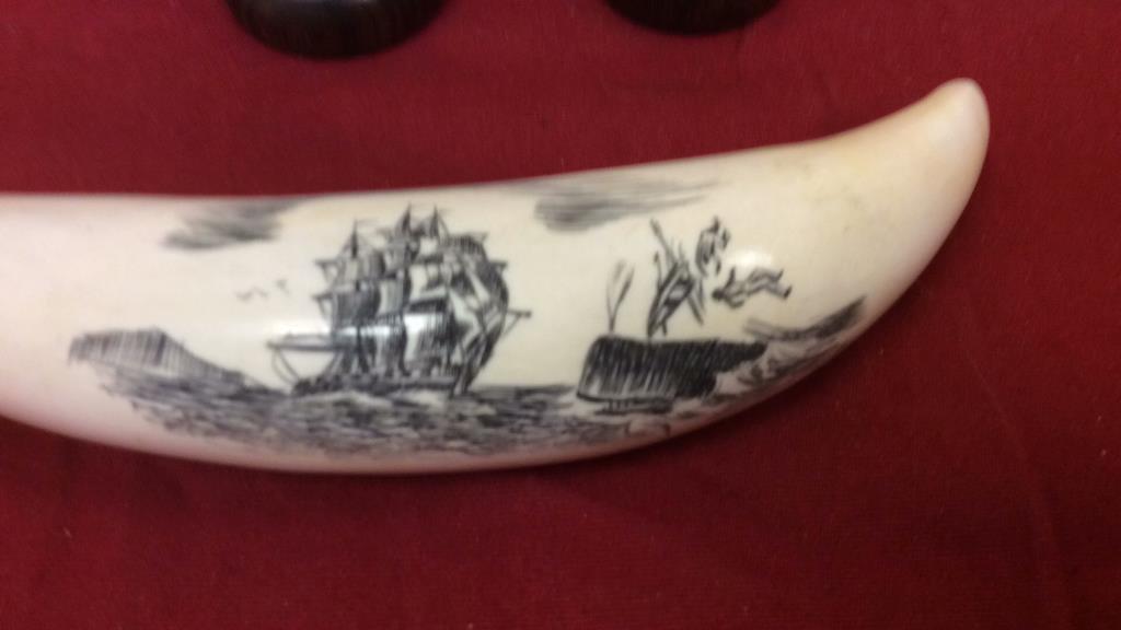 3 Scrimshaw Pieces