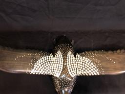 Flying loon decoy - 41 inch wingspan