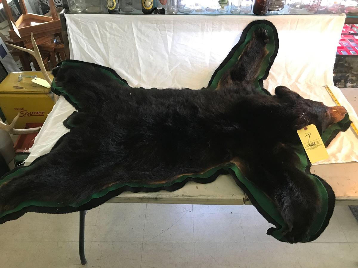 5' bear rug