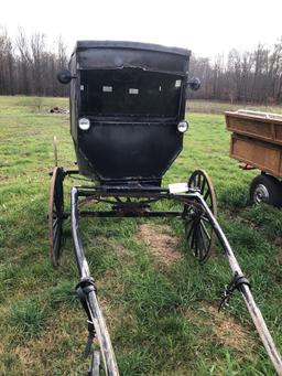 Horse-drawn buggy