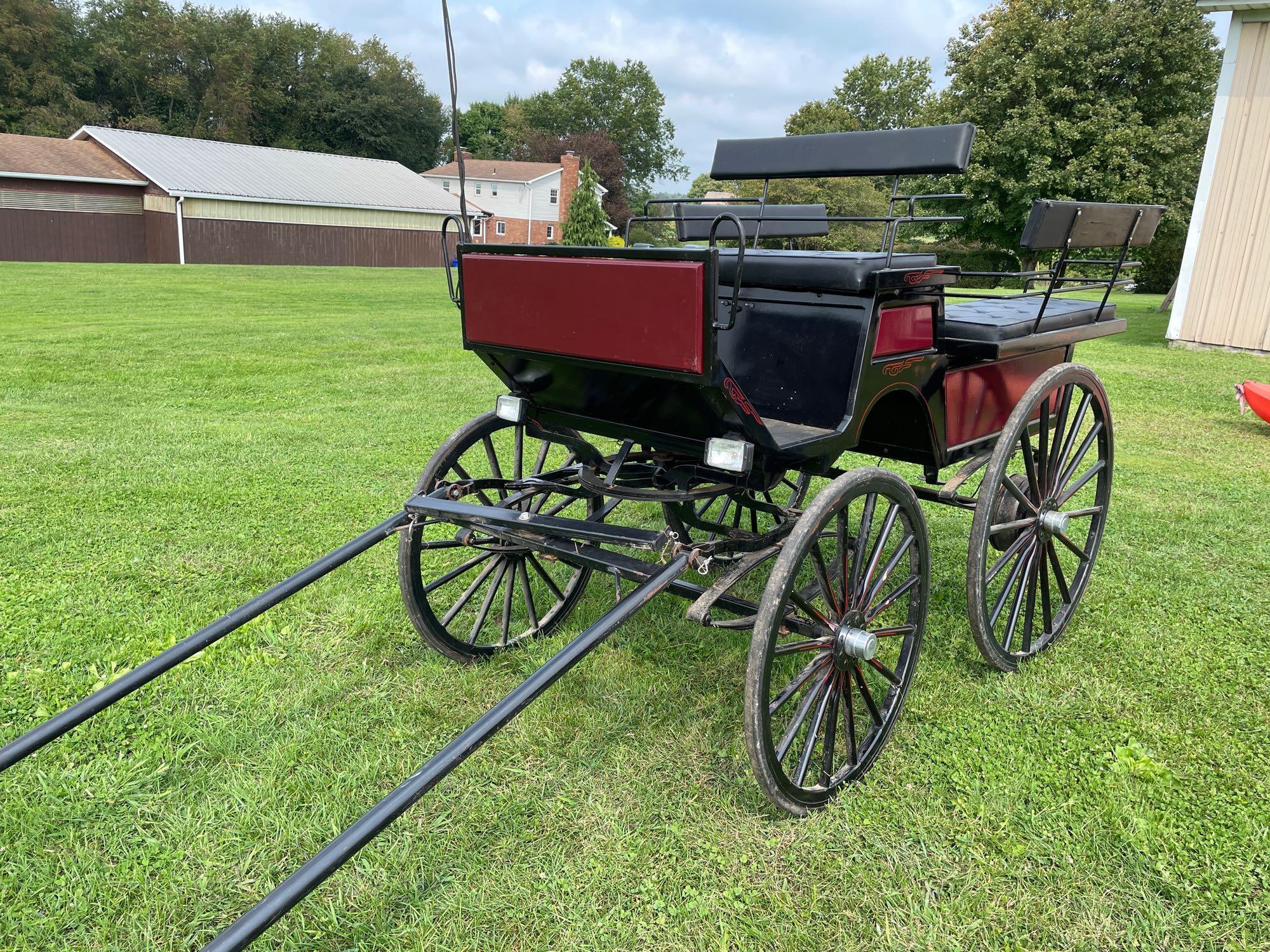 Horse carriage "Suri" voitures Robert & fils