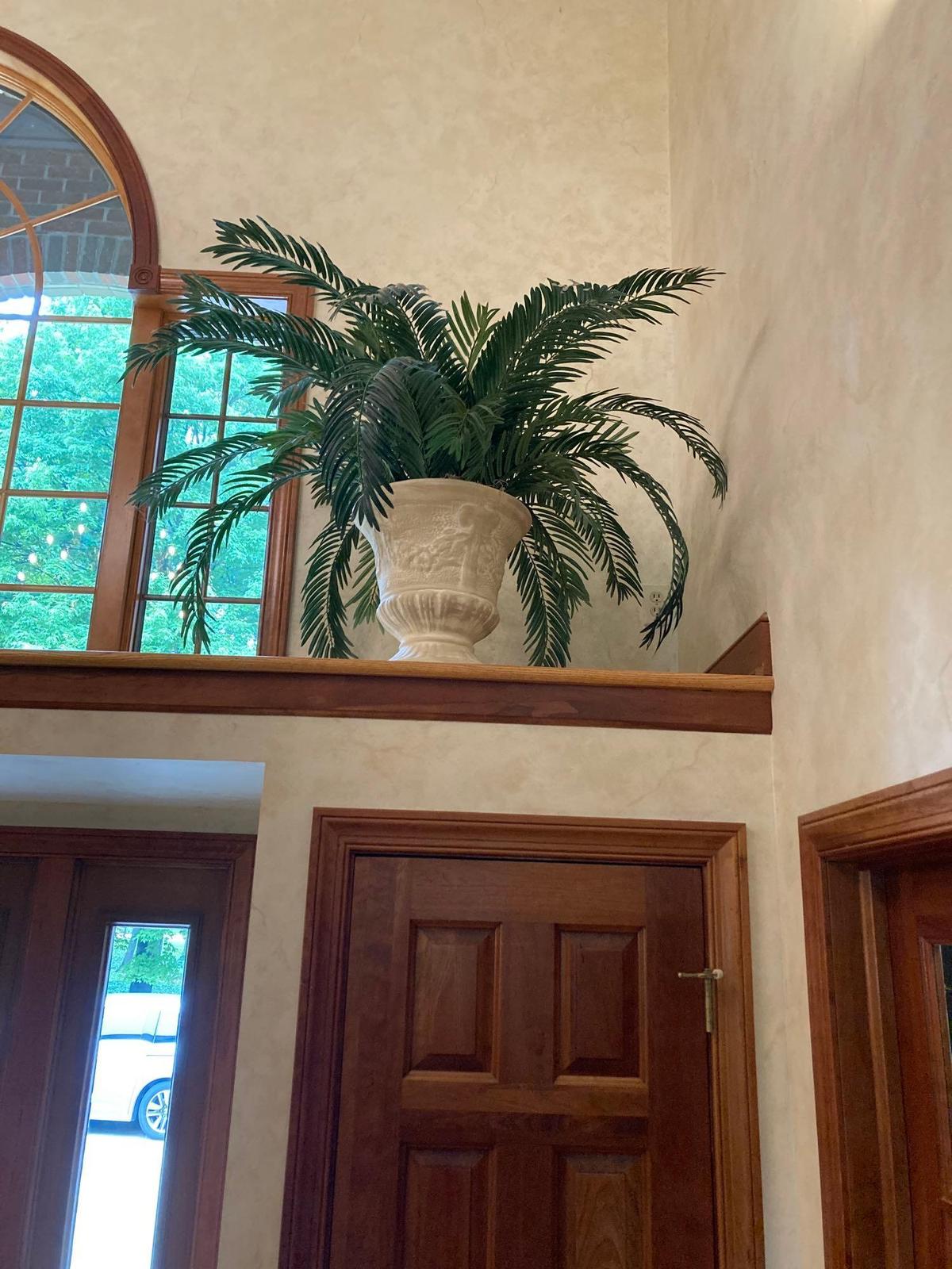 One pair of large urns with ferns