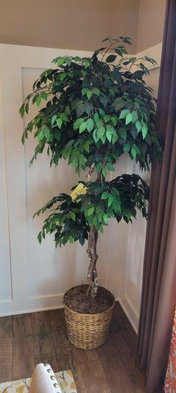 6ft tall artificial plant