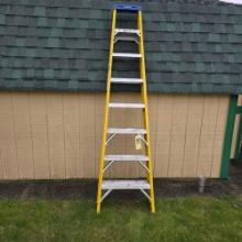 Werner 8ft Ladder