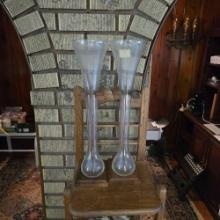 Contents of Display Shelves - Seashells, Coral Pieces, Glassware & Stoneware