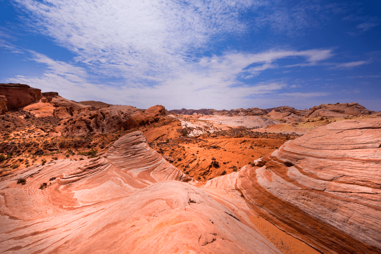 1.26 Acres in Breathtaking Navajo County, Arizona!