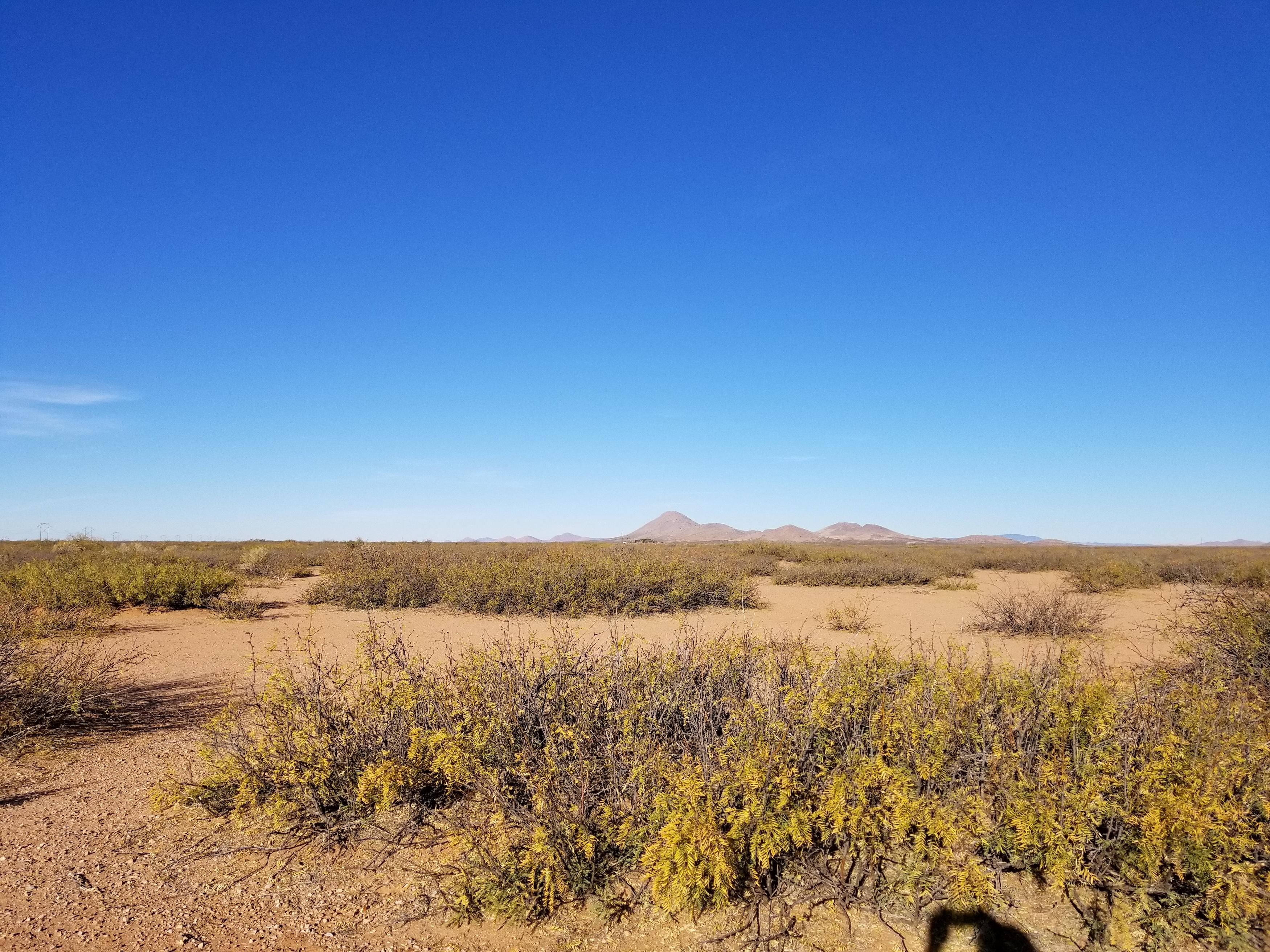 Half-Acre Scenic Lot in Luna County, New Mexico!