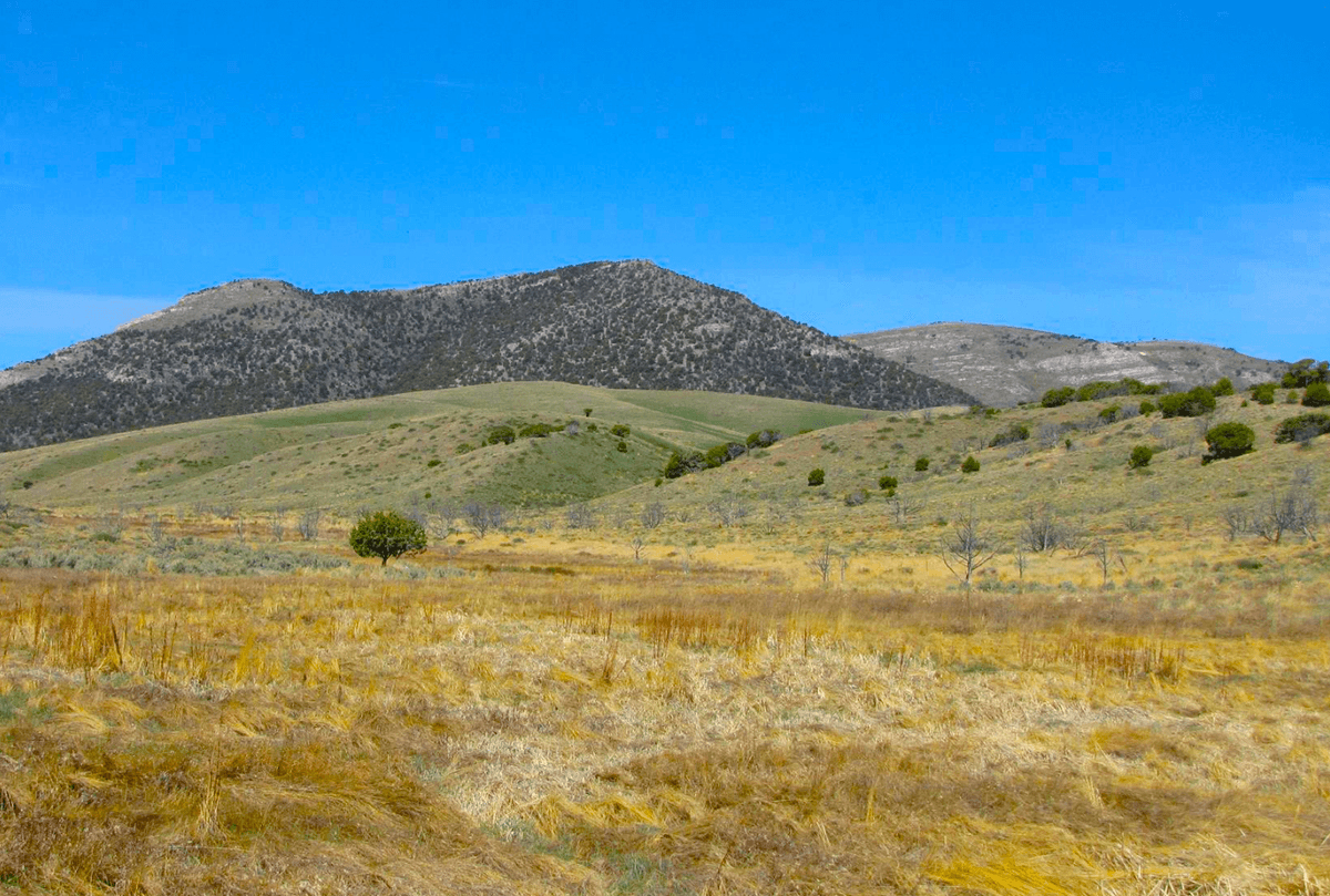 20-Acre Hideaway in Elko County, Nevada!