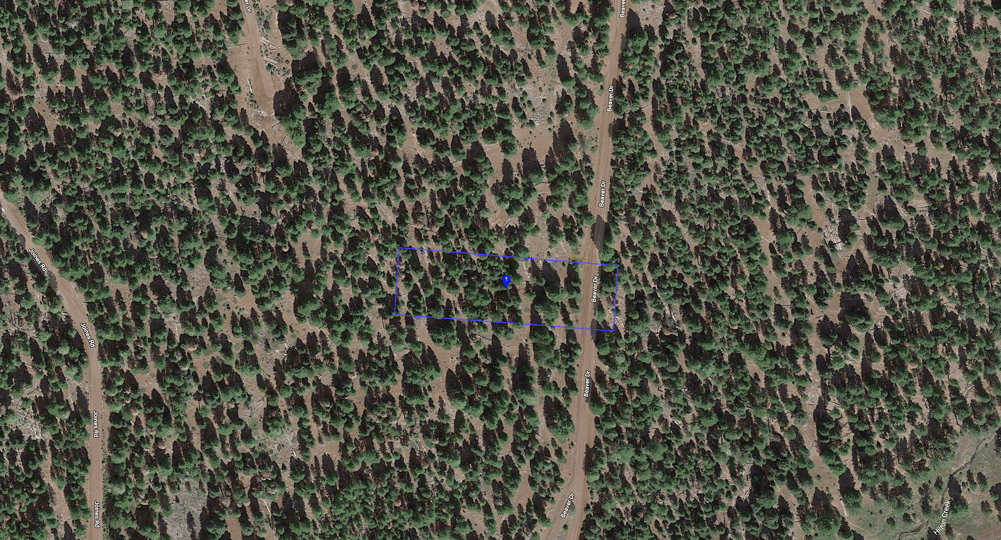 Build Your Home on an Acre of Peaceful California Pines!