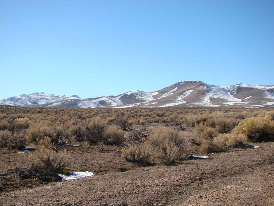 41.85 Acres in Elko County's High Mountain Desert!