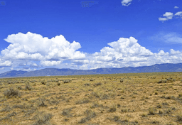 Expand Your Portfolio: 10 Lots in New Mexico! BIDDING IS PER LOT!