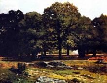 Alfred Sisley - Chestnut Avenue in La Celle-Saint-Cloud