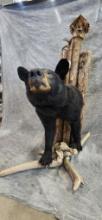 Black Bear Mount