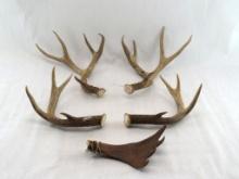 (2) Pairs of Deer Antlers