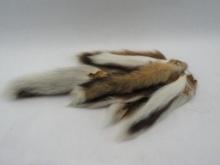Assorted Pelts and Pieces